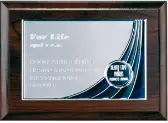 Award 1