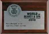 Award 4