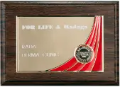 Award 5